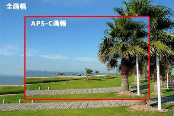 单反套机和单反机身的区别是什么,单反入门机身推荐