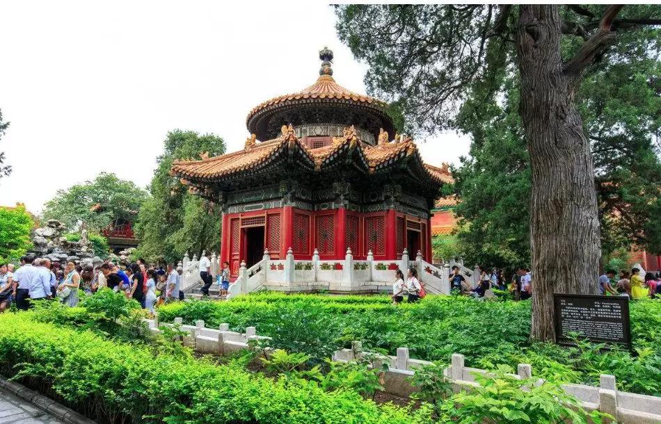 世界上最奢华的宫殿是什么宫殿,世界上现存最大最完整的木质宫殿