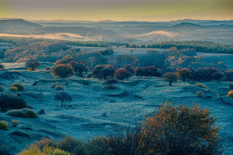 周洪涛上海,上海周洪涛摄影