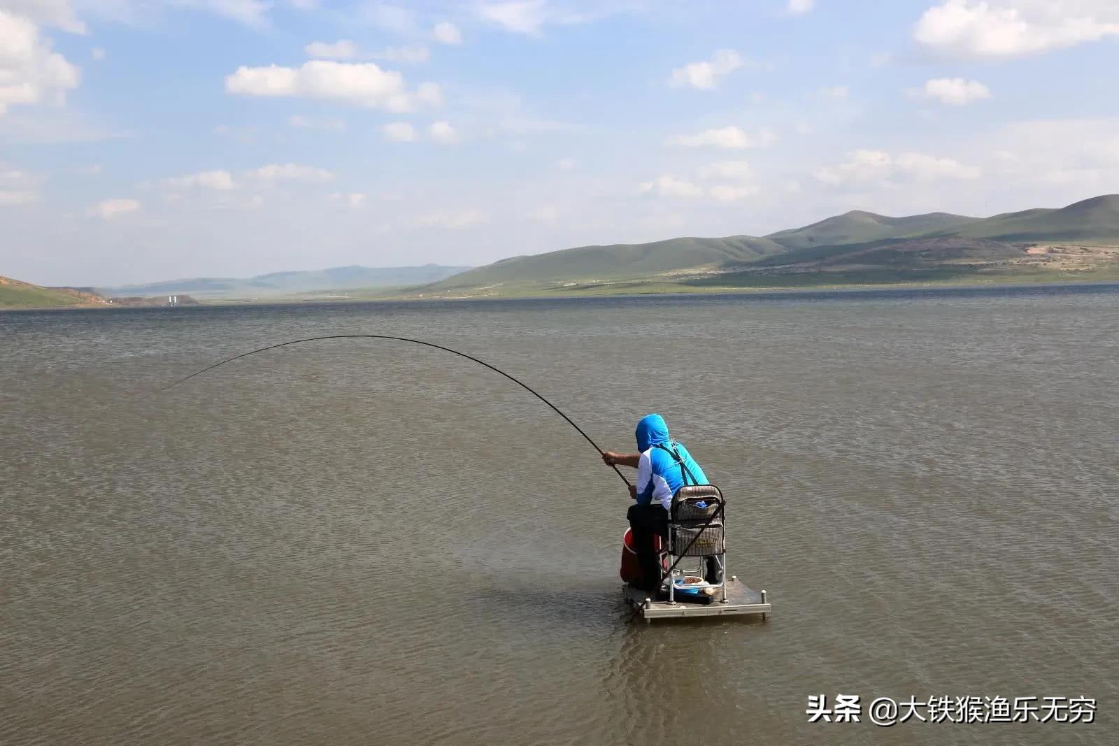钓鲢鳙鱼最简单有效的办法,老钓友分享钓法