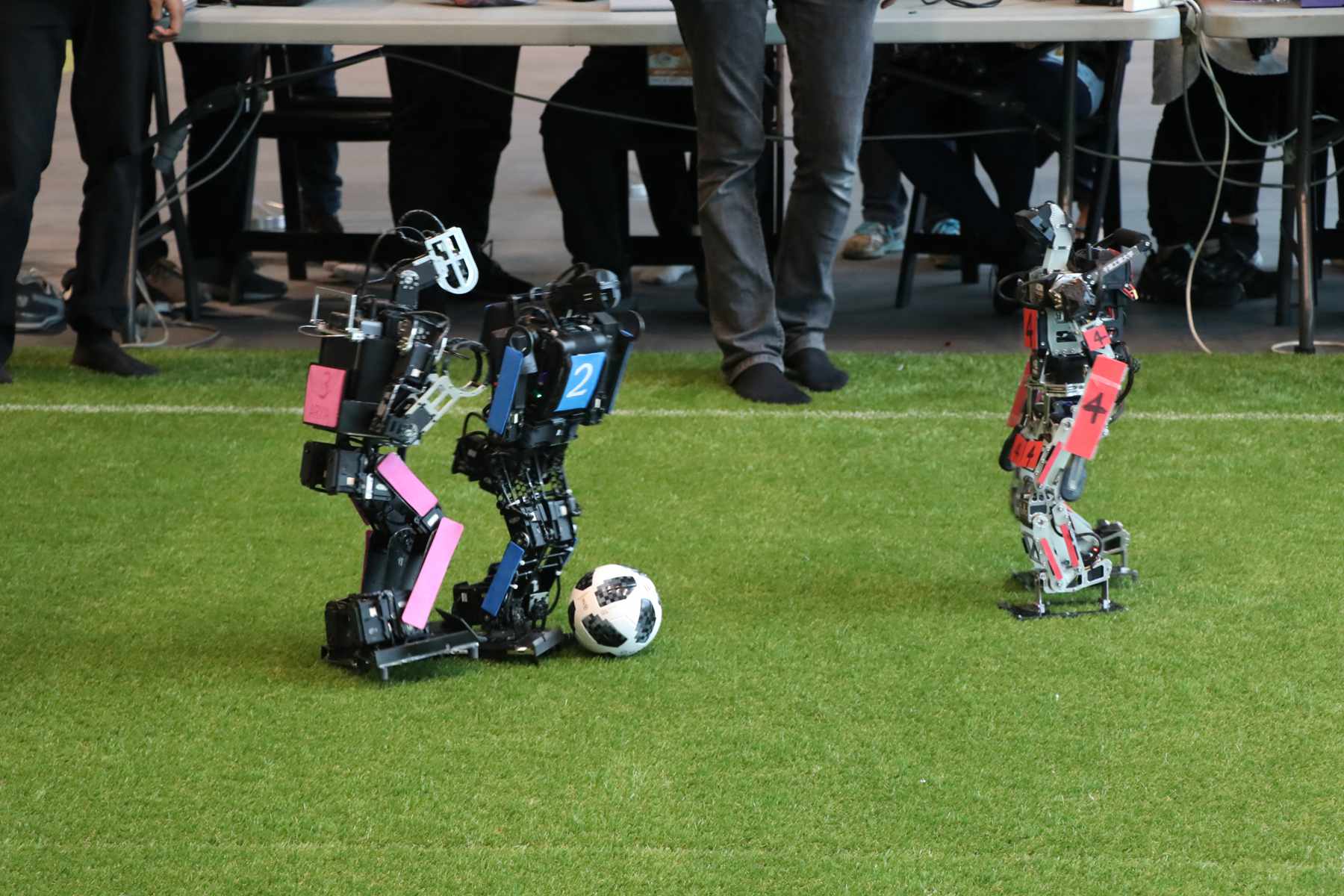 悉尼大学出成绩了吗,悉尼大学机器人