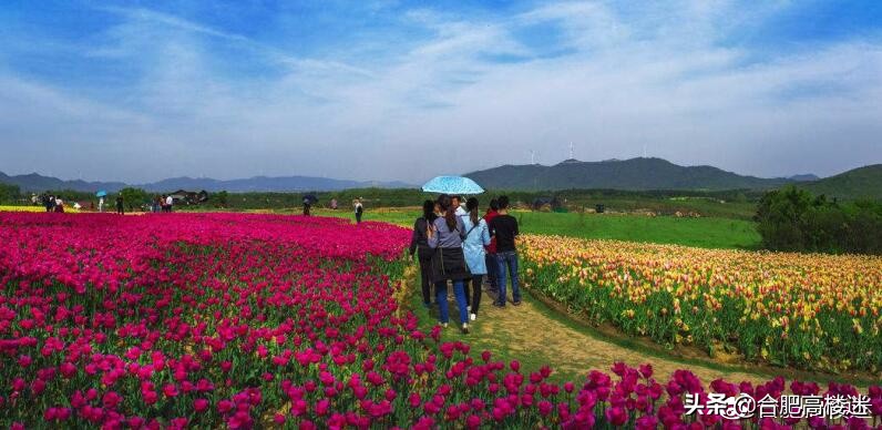 合肥五一旅游指南,五一合肥免费旅游景点