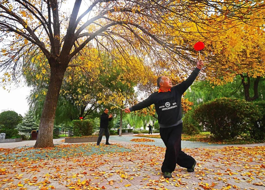 洛阳有收藏玉器的地方吗,洛龙区游玩收藏榜