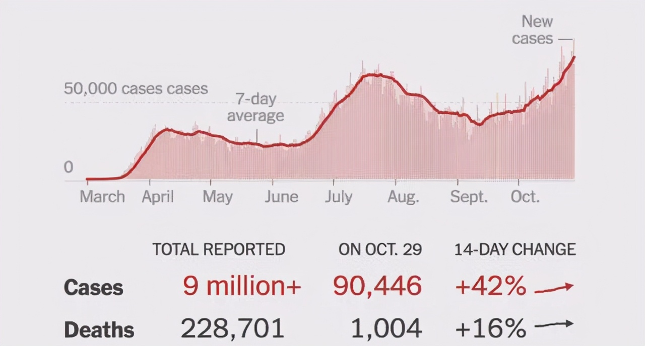 杀人蜂为什么那么可怕,杀人蜂到底有多厉害