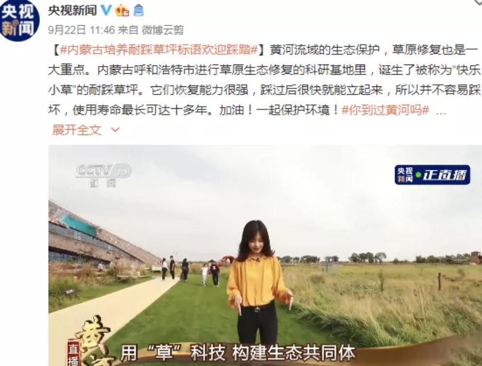 看央视电视剧,最萌主持人