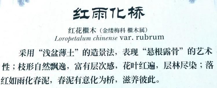 曾作为禁地，与外界隔绝二百六十多年的“玄武湖”，今日锣鼓喧天