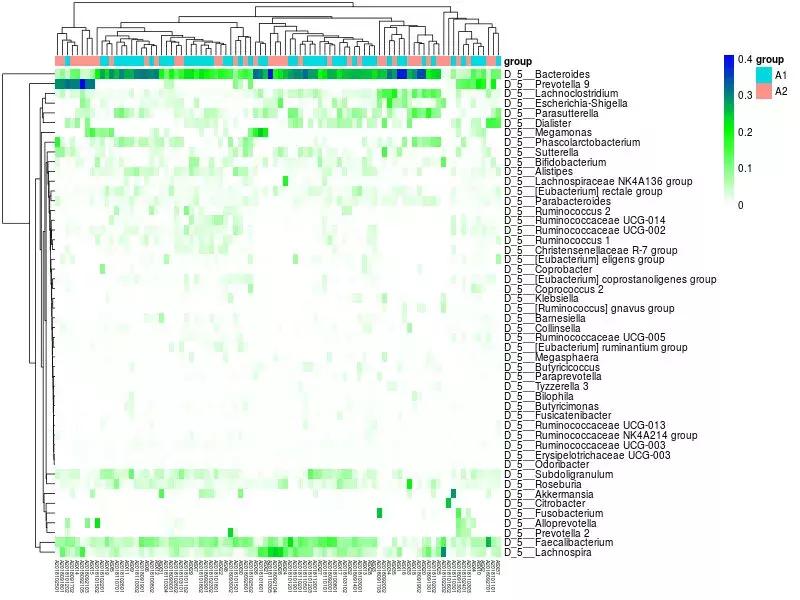 肠道菌群16s检测挂什么科,肠道菌群测序数据分析