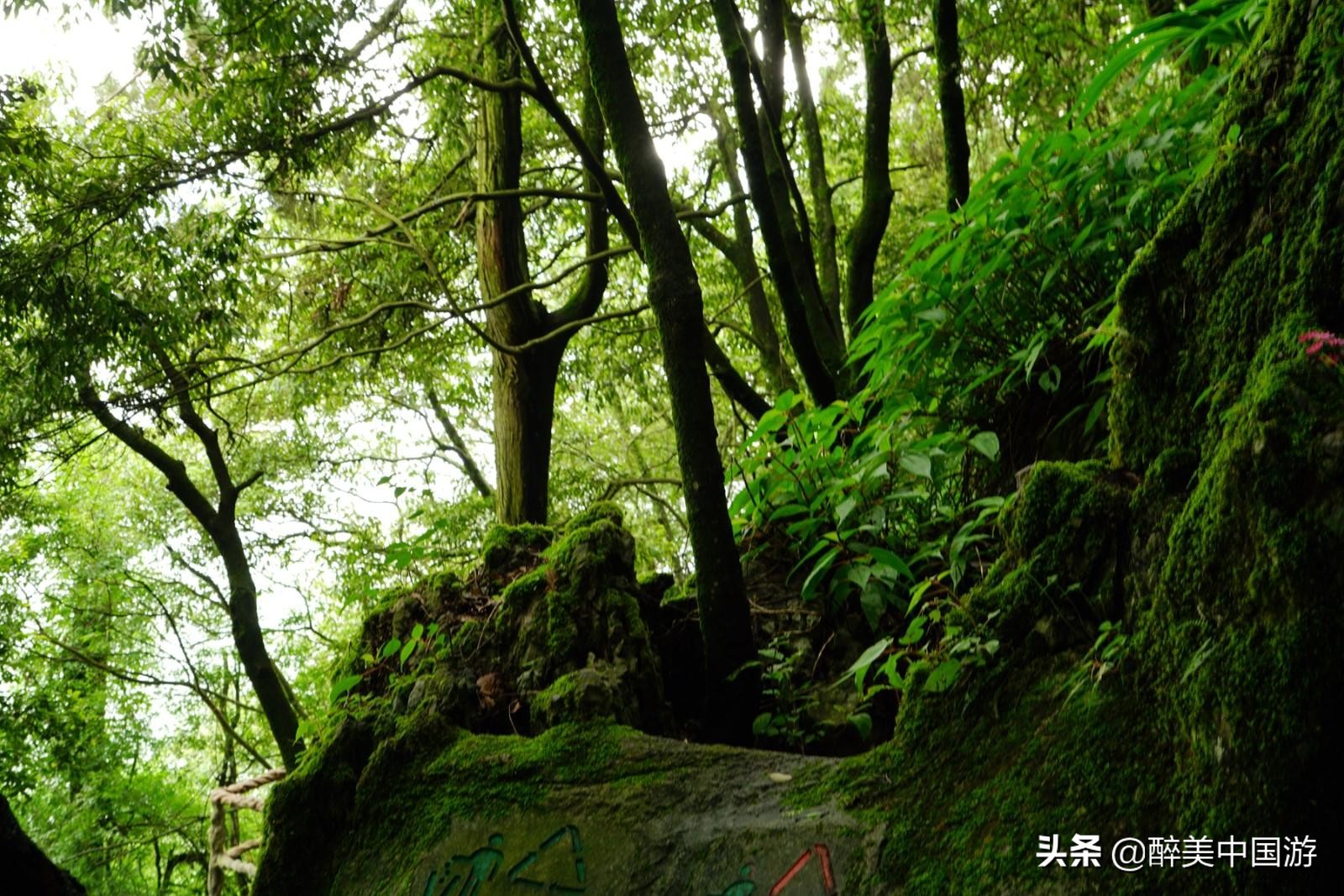 五一昆明周边游玩景点推荐亲子,五一昆明周边游玩景点推荐便宜