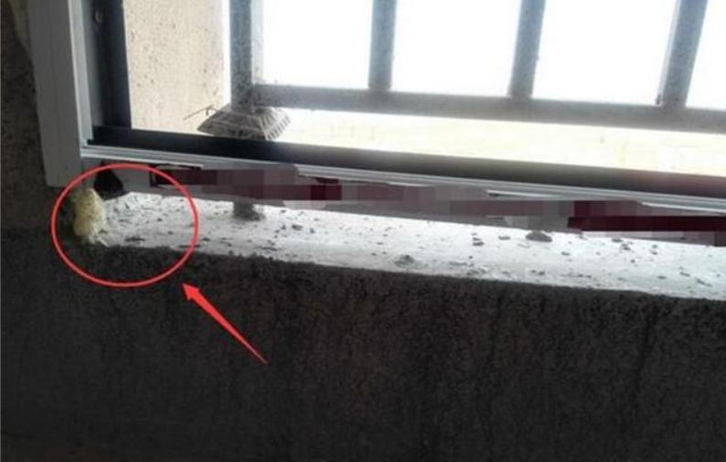 新房窗户质量出现问题怎么解决,遇到房屋窗户质量问题该如何解决