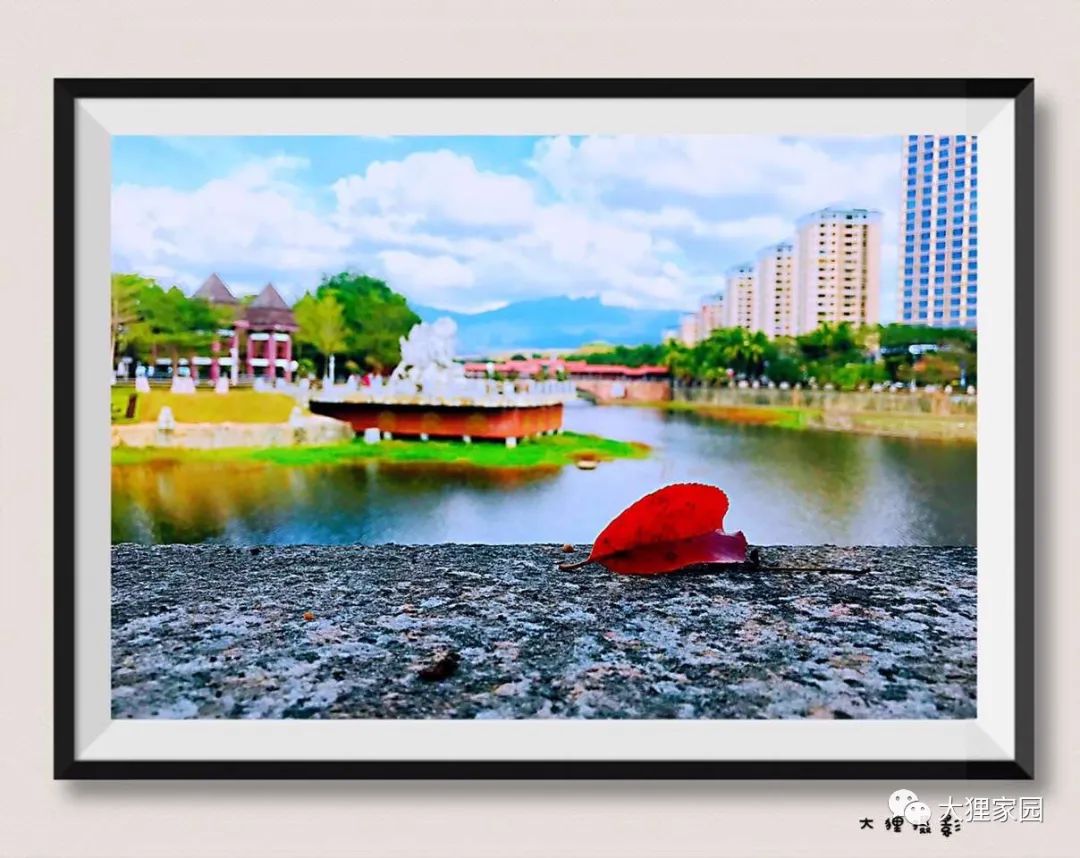 带娃的日子有滋有味,为什么别人的日子过得有滋有味儿