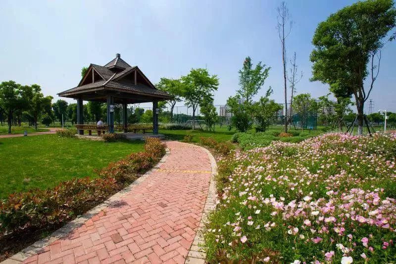 苏州未来发展潜力巨大的区,厉害了苏州