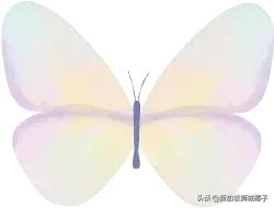 新加坡首位被环球签约艺人,新加坡形象代言人