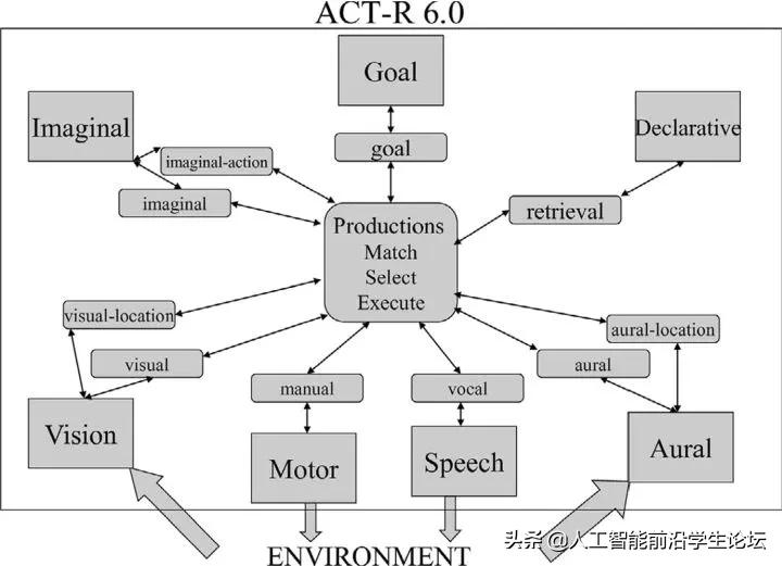 生物，AI，心理：目前的大脑/认知/意识/AGI/DRL模型