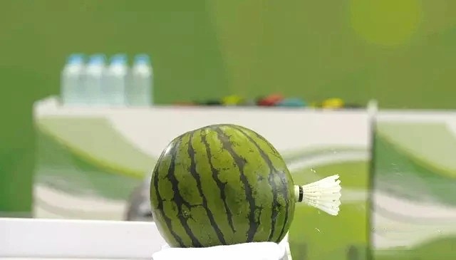 球类运动奔跑速度,球类运动速度最快的纪录