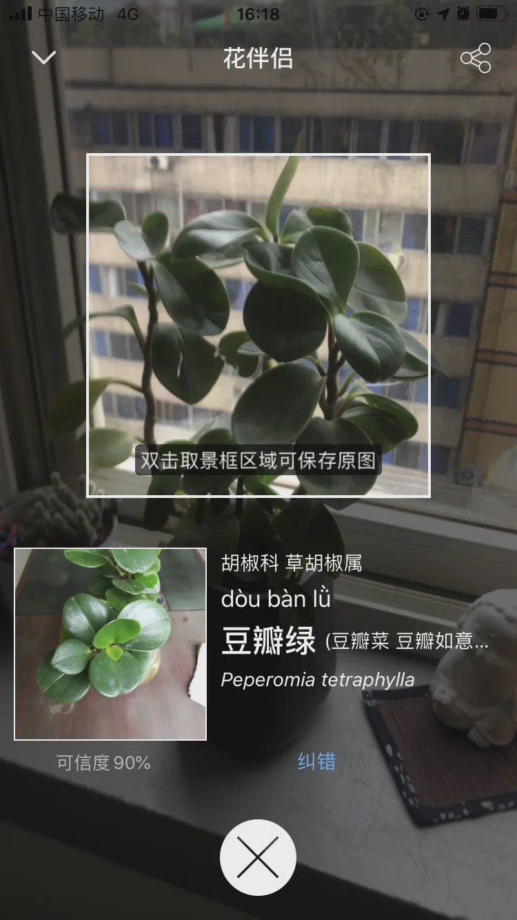 哪个识花软件最好用,识花app免费的哪个好