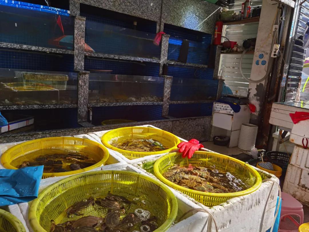 杭州勾庄海鲜批发市场,杭州勾庄贝壳海鲜批发市场