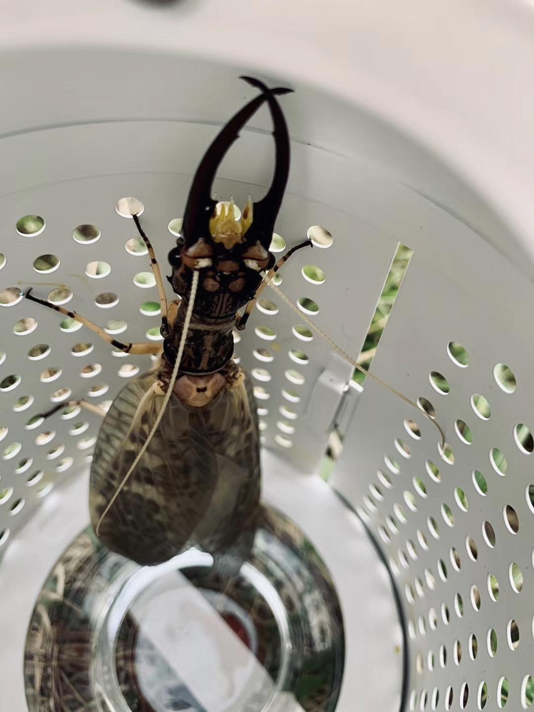 奔驰glb露营改装,glb改装露营