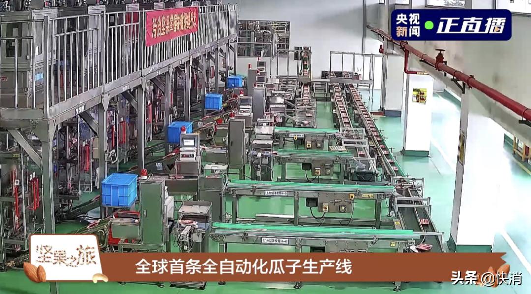 洽洽央视直播,洽洽直播回放