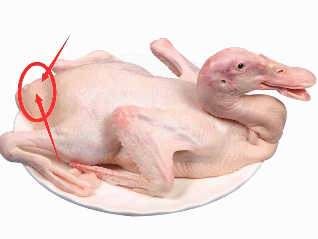 为什么鸭肉煮出来有膻味,烤好的鸭肉再怎么弄没有膻味