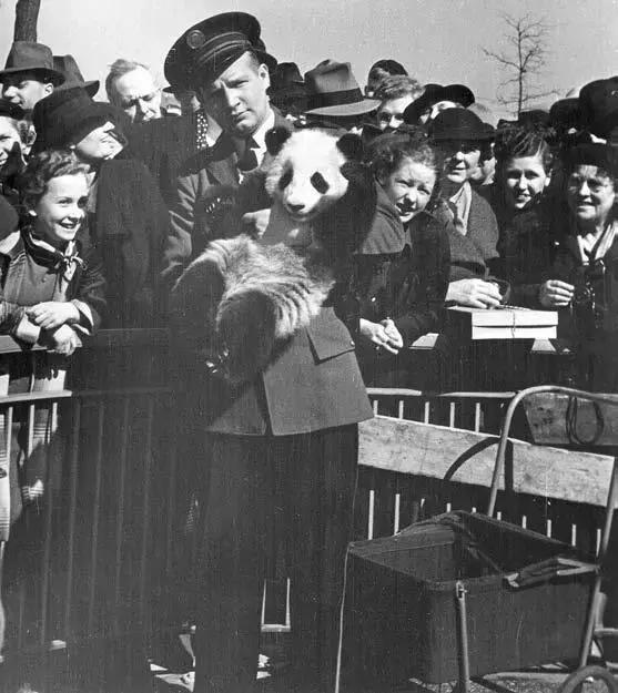 你才可爱你全家都可爱怎么回,你才可爱你全家都可爱出处