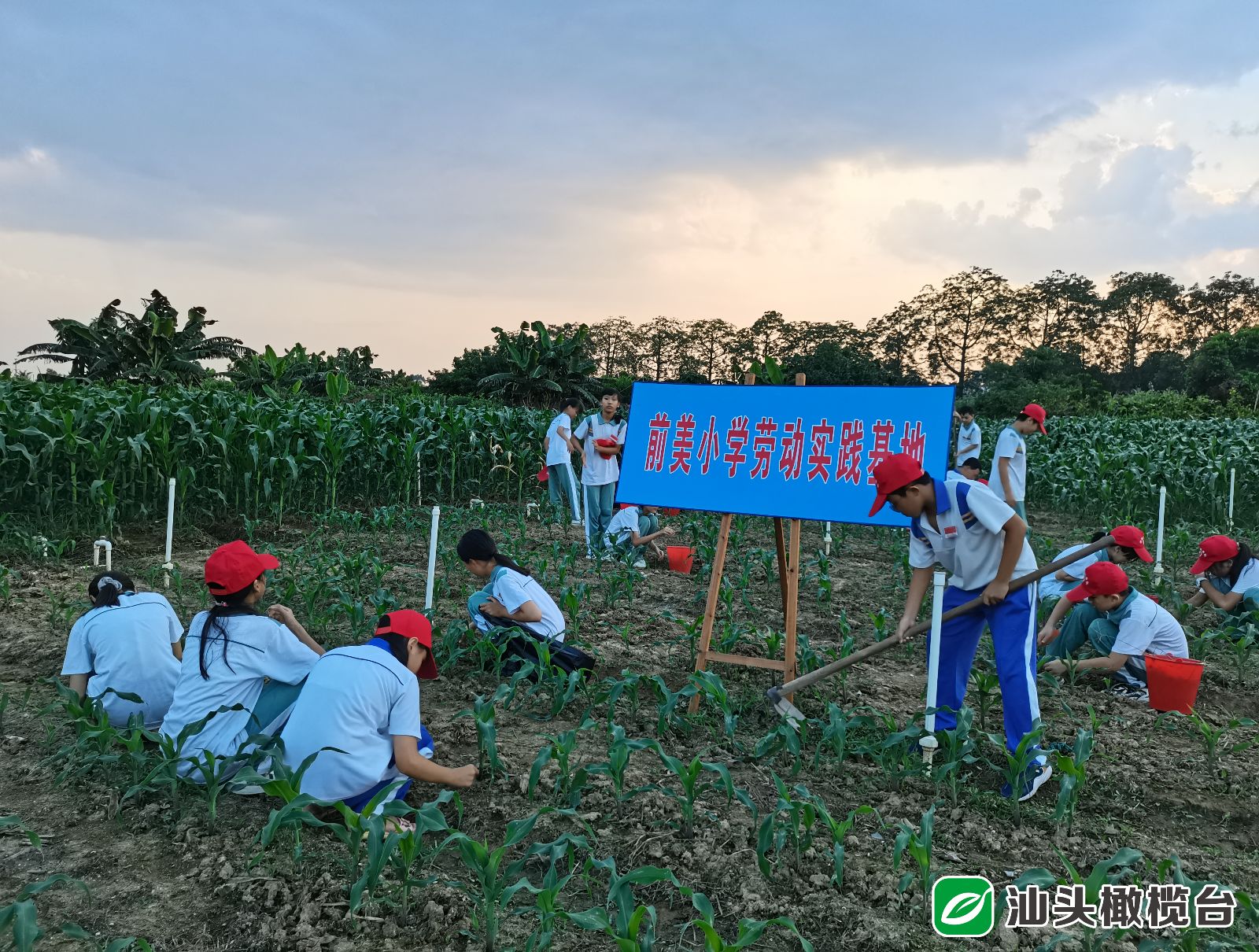 打造教育高地是什么意思,提升区域教育高质量发展的思考