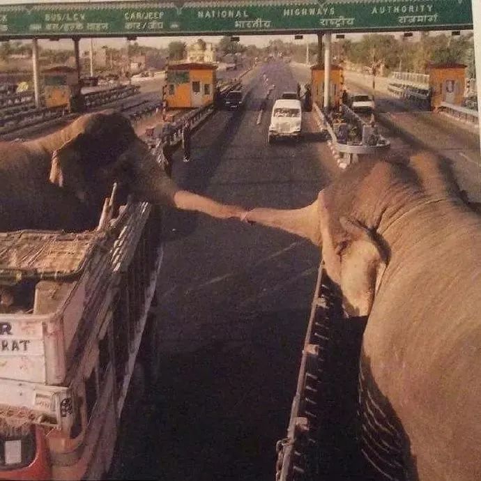 他们被杀之后，依然在爱你