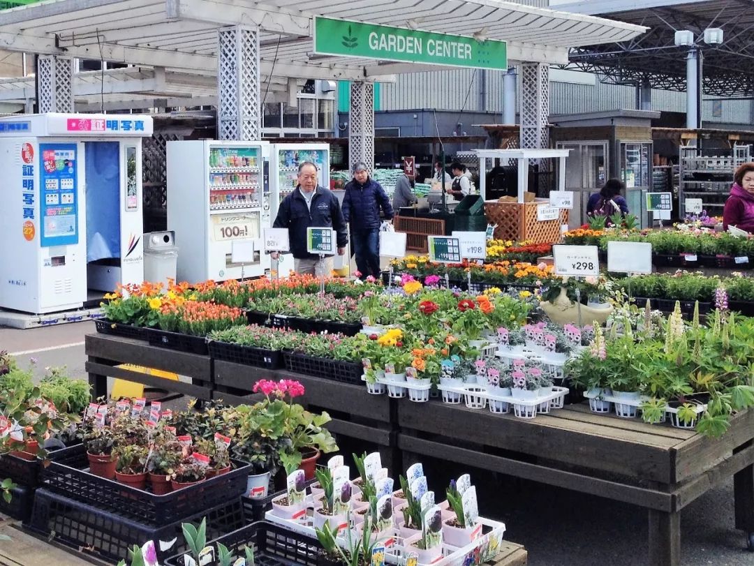 日本花店探店,日本花店攻略
