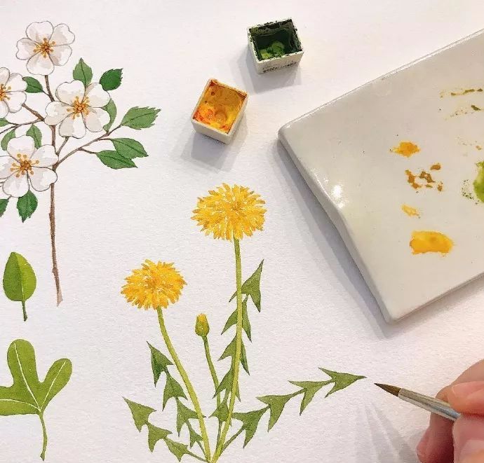 水彩画初学者的技巧和方法,画水彩需要注意的20点