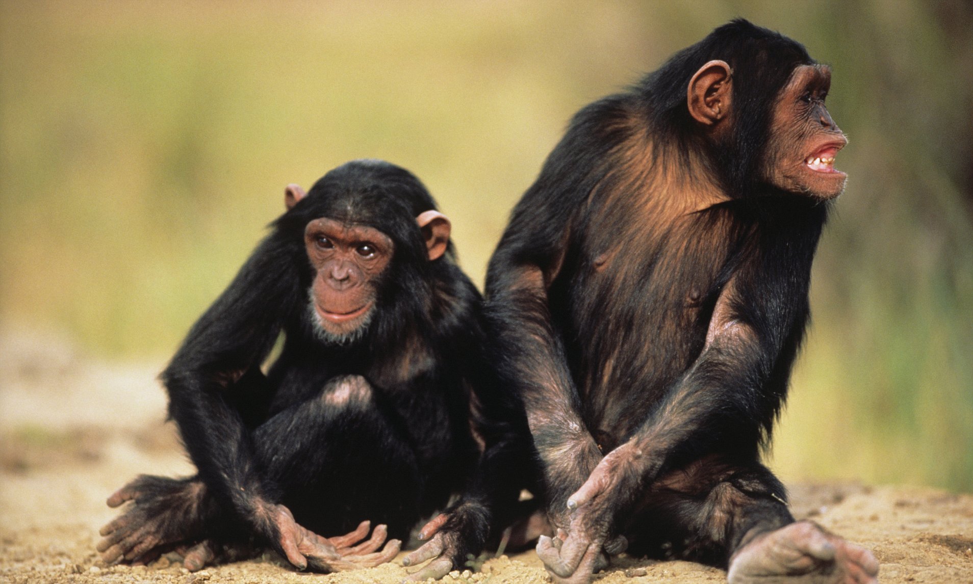 广州两人称在天河被人扎针引发恐慌，被扎为何须马上去医院阻断？