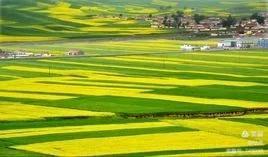 汉中青海甘肃大环线七日游,五一到秦岭旅游攻略三日游