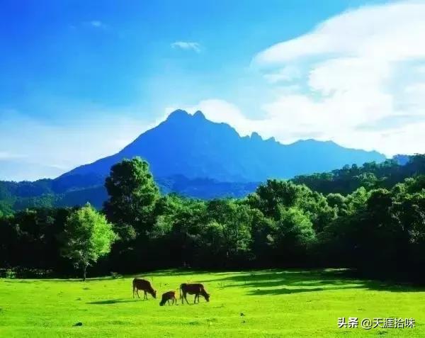 海南最美的5个小镇,海南最美的十个县