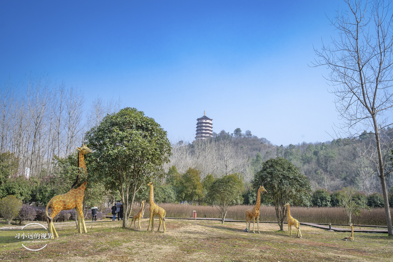 合肥万佛湖二日游攻略,合肥市区旅游攻略一日游
