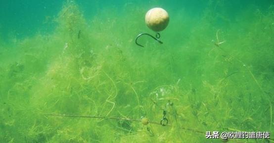 双钩真的比单钩好吗,单钩双钩技巧