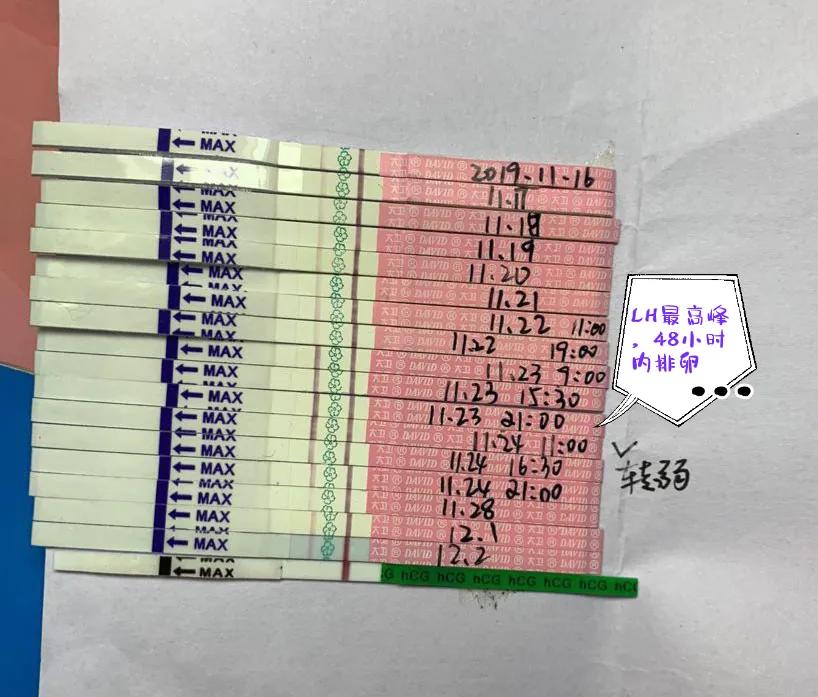 谈谈我的怀孕备孕历程，提高中奖几率