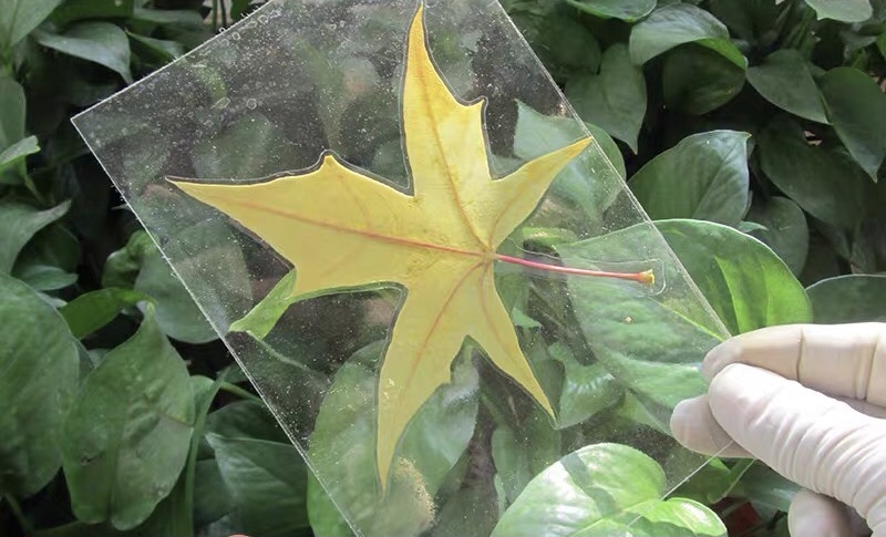 亲子旅游必备神器清单,亲子旅行攻略详细资料大全