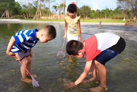 金湖水漾年华风景区,金湖水漾年华里面有什么植物