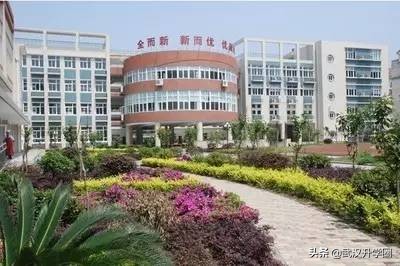 武汉公办小学,武汉洪山区公办小学