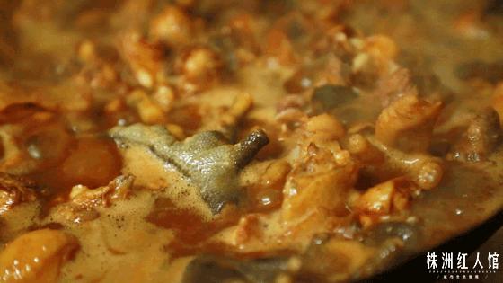 神经哥回归过程,神经哥原唱歌曲