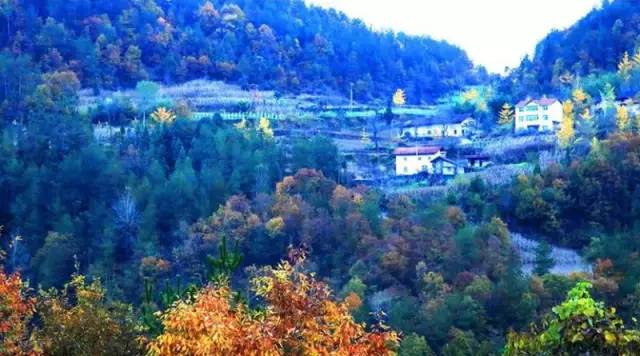 湖北深秋自驾游景点推荐,秋色彩林川西自驾