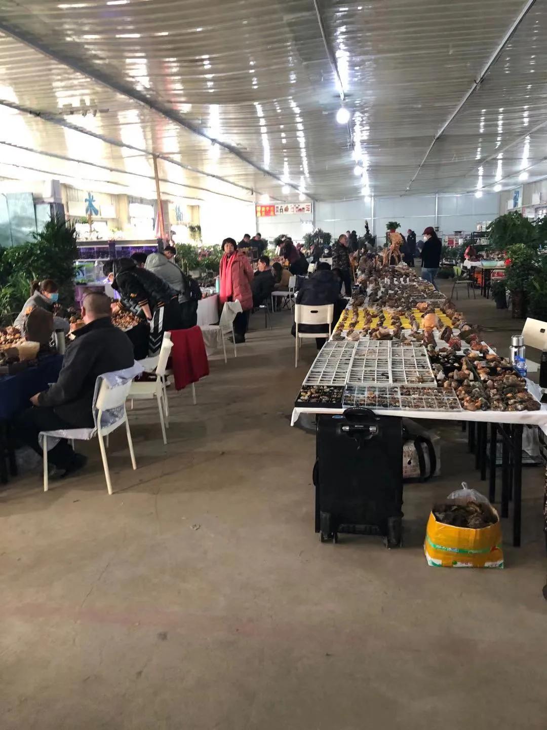 品石之路第88章,品石之路第一百六十章