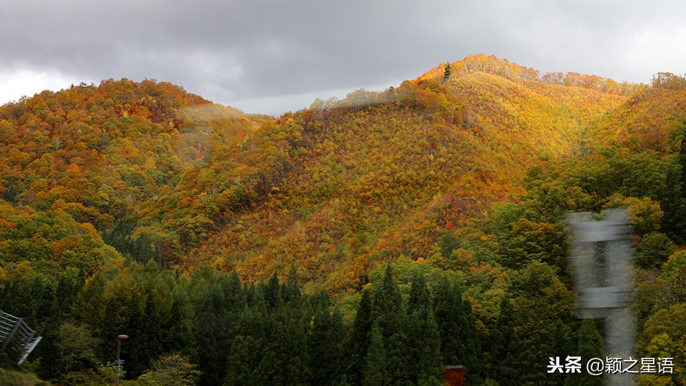 日本锅和德国锅哪个好,日本上万的锅