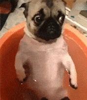 上厕所没有厕纸只能用绳子,上厕所没有卫生纸能用吗