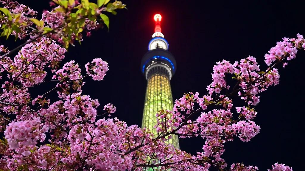 图观天下图片,图观天下图