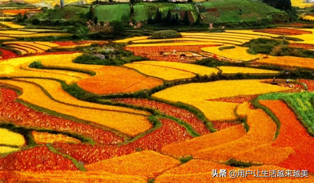 龙胜哪儿有好看的景区,广西的龙胜有什么好玩的