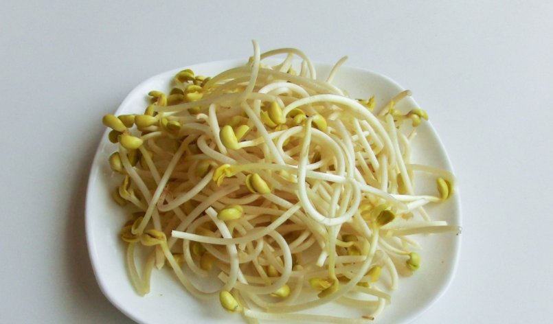 韭菜真的可以减肥吗?媳妇吃了一个星期,瘦了十斤