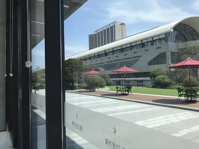 新力金沙湾,新力金沙湾视频