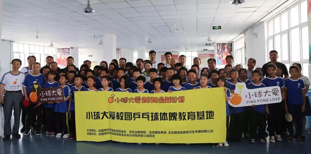 王楠小球大爱,王楠小球大爱公益