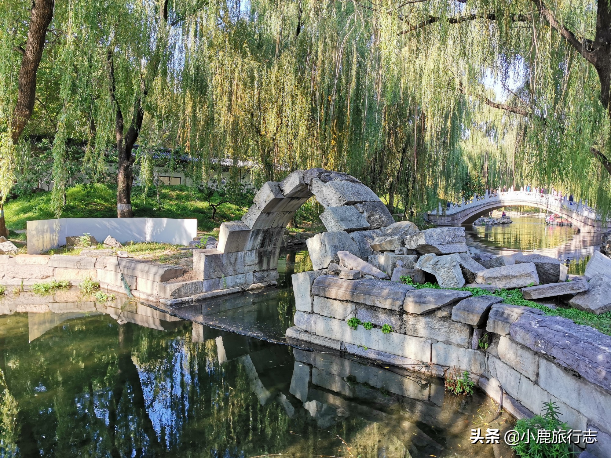 北京免费玩森林公园有哪些,北京森林公园一日游最佳攻略