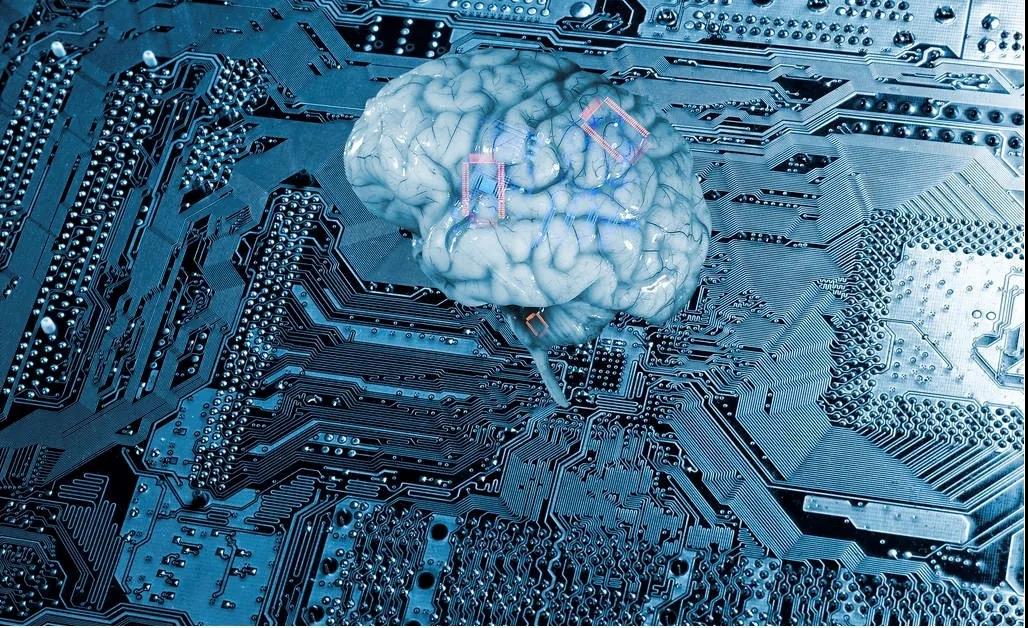 武汉工程大学高考志愿有哪些专业,武汉工程大学高考志愿