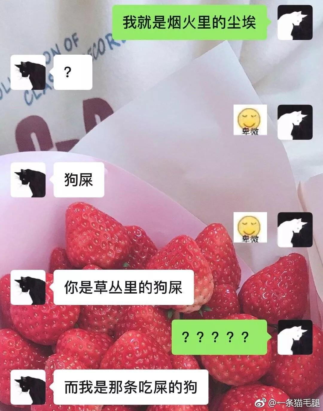 钢铁直男怎么改变自己的聊天方式,与钢铁直男的日常对话